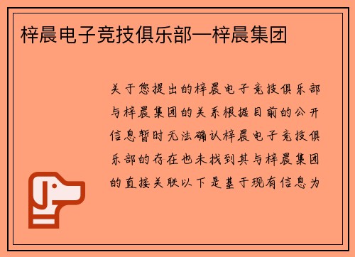 梓晨电子竞技俱乐部—梓晨集团